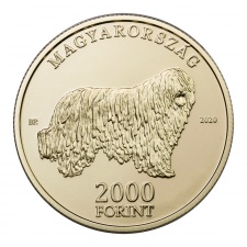 V Komondor 2000 Forint 2020 Proof, prospektussal