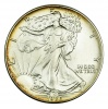 USA Amerikai Sas ezüst 1 Dollár 1986