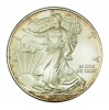 Amerikai Sas ezüst 1 Dollár 2010