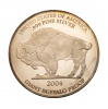 USA Giant Buffalo Proof nagyméretű 4 UNCIA színezüst 2004